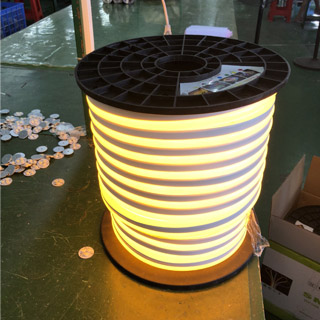 220v LED Neon Light